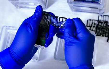 avuncular DNA test