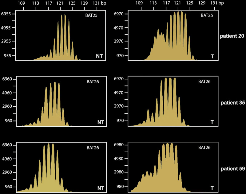 Africa microsatelite analysis